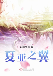 夏亚之翼
