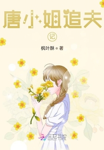 唐小姐追夫記
