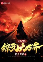 NPC的综武大世界在线阅读