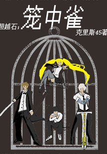 超越石之籠中雀