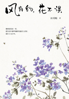 风有约,花不误在线阅读