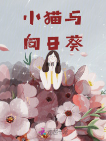 小貓與向日葵