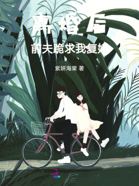 离婚后，前夫跪求我复婚在线阅读