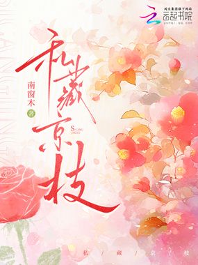 私藏京枝在线阅读