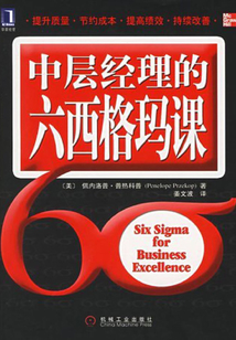 中層經(jīng)理的六西格瑪課