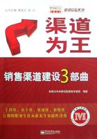 渠道为王：销售渠道建设3部曲在线阅读