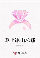 惹上冰山總裁在線閱讀