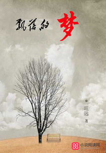 飄落的夢