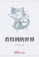 看得到的世界在線閱讀