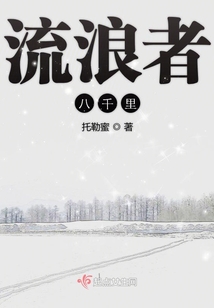流浪者八千里