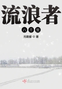 Wanderer Eight Thousand Miles