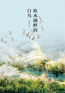 秋水湖畔的白鳥(niǎo)