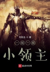 一般一般小領主