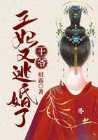 王爷,王妃又逃婚了