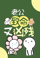 老公致命又兇殘在線閱讀