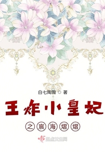 王炸小皇妃之宸海熠熠