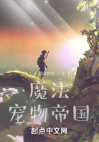 魔法宠物帝国在线阅读