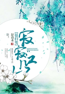寂寂江山情归处