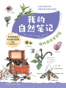 我的自然笔记:我的自然百宝箱