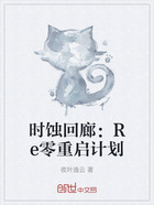 时蚀回廊：Re零重启计划