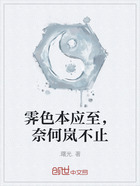 霁色本应至,奈何岚不止在线阅读