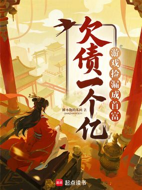 欠债一个亿？游戏捡漏成首富在线阅读