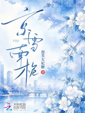 京雪南栀在线阅读