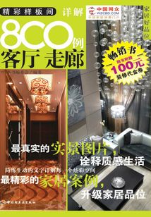 精彩樣板間詳解800例(客廳走廊)-家居好品位