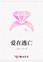 愛在逃亡在線閱讀