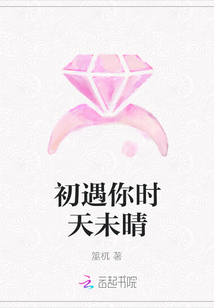 初遇你時天未晴