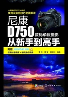 尼康D750数码单反摄影从新手到高手在线阅读