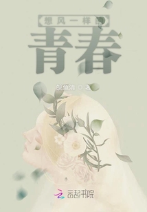 想風(fēng)一樣的青春