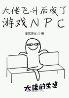 大佬飞升后成了游戏NPC