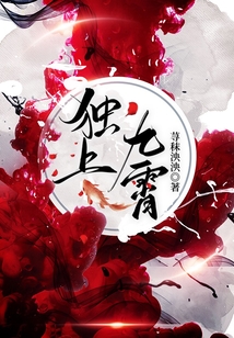 獨(dú)上九霄