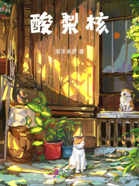 酸梨核在线阅读