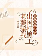 老婆骗我出国打黑工,而我混成了区长在线阅读