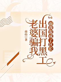 老婆騙我出國打黑工，而我混成了區長