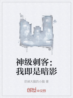 神级刺客:我即是暗影在线阅读