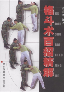 格斗術百招精解