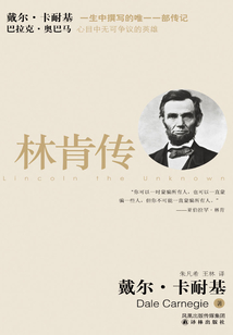 林肯傳(傳記譯林)