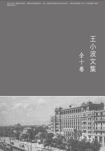 王小波文集（共十卷）