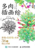 多肉插画绘：素描+色铅笔+水彩36例暖心详解