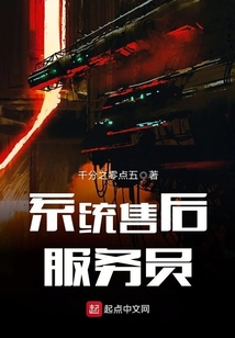 系統售后服務員