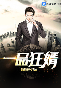 一品狂婿