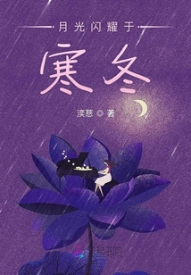 月光閃耀于寒冬