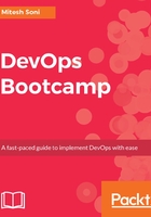 DevOps Bootcamp在线阅读