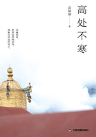 高處不寒在線閱讀