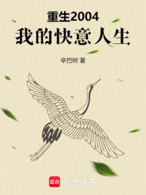 重生2004，我的快意人生在线阅读