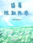 盛夏限期热恋在线阅读