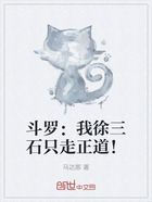 斗罗:我徐三石只走正道!在线阅读